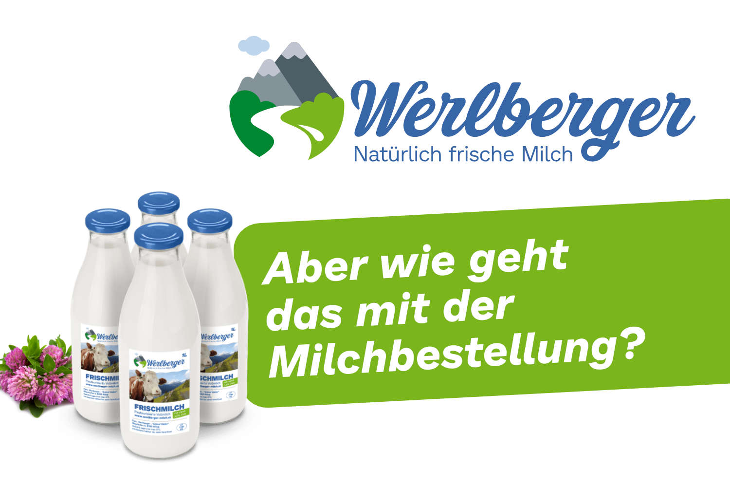 Infovideo zum Bestellvorgang